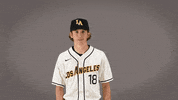 Baseball Calstatela GIF by Cal State LA Golden Eagles
