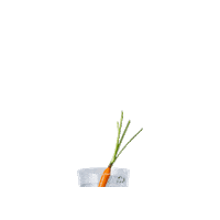 ArcticBlueBeverages cocktail gin gt gintonic Sticker