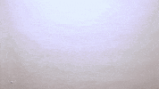 Seniors Navy Soccer GIF by Navy Athletics