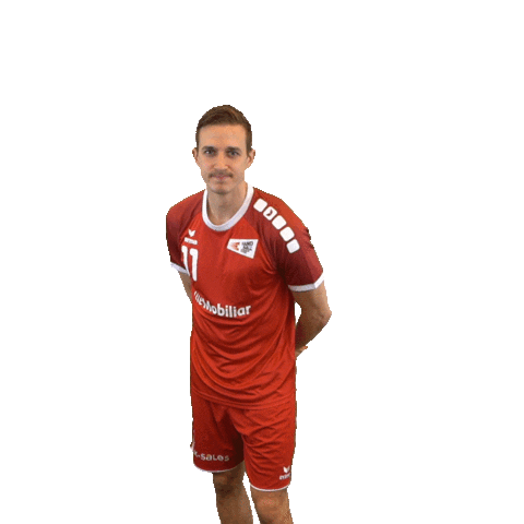 swisshandball_official no handball stop schweiz Sticker