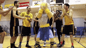UCSanDiego triton ucsd uc san diego triton pride GIF