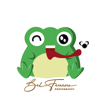 Frog Familia Sticker by Bel Ferreira Photography