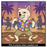 Happy Lets Go GIF by Doge Pound