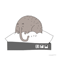 Animation Domination Fox GIF by gifnews