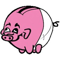 Bonus_is bonus born diaper bónus pig Sticker