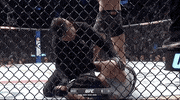 Sport Mma GIF by UFC