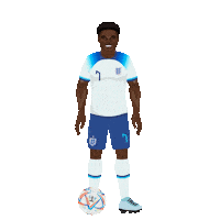 World Cup Football Sticker by Panini America