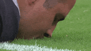 World Rugby Sport GIF by Rugby World Cup