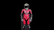 Sport Team GIF by Virgilio