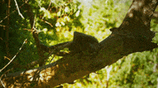 Tired Sleep GIF by Discovery