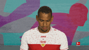 Vfb Stuttgart Football GIF by Bundesliga