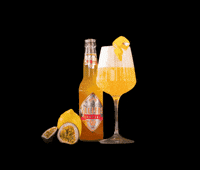 Beer Bier GIF by SALITOS