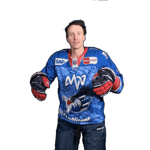 Dan Renouf Sticker by Adler Mannheim