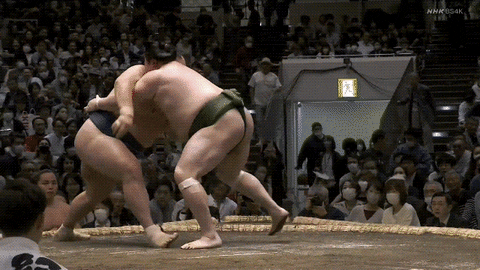 TZ85 giphyupload sumo 2023 natsu basho tamawashi GIF