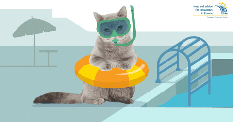 swimming pool cat GIF by European Consumer Centre Poland