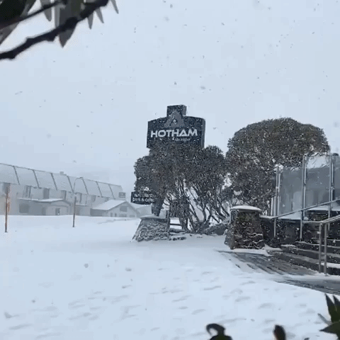 Bitter Cold Snap Brings Snowfall to Australian Alps