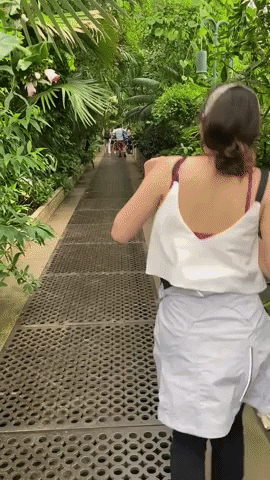 oanaflorescu3b95 giphygifmaker GIF