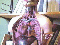 mortyolsen love heart video rad GIF