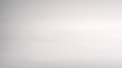 cerveza victoria party GIF by VictoriaCerveza