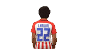 Football Soccer Sticker by Gulf United FC