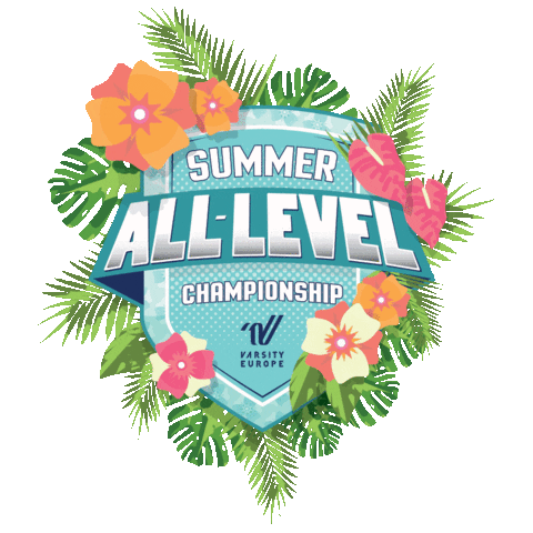 VarsityEurope giphyupload cheer cheerleader cheerleading Sticker