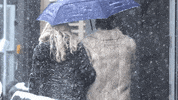 street style GIF by NYFW: The Shows