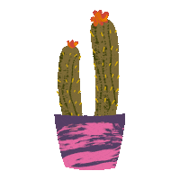 Plants Cactus Sticker