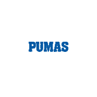 Pv Pumas Sticker by PVCC