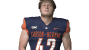 Cnfb Sticker by Carson-Newman Athletics
