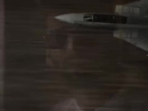 im danger GIF