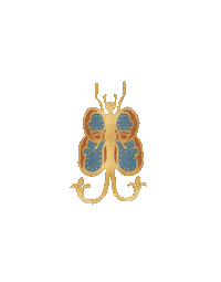 Butterbeer Sticker by Harry Potter Store New York