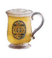 Beer Butterbeer Sticker by Harry Potter Store New York