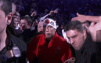 georgesrushstpierre fight sports ufc go GIF