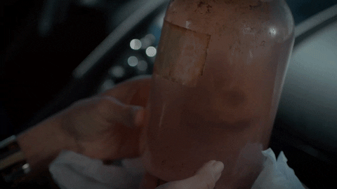 Evil GIF by Paramount+