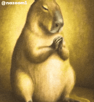 Capybara Please GIF