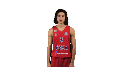 Sport Basketball Sticker by CSKA Moscow
