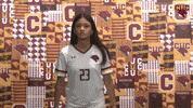 Cuc GIF by CUCougars