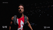 Wwe Wrestling GIF by USA Network