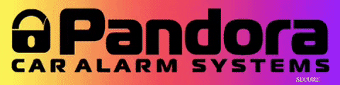 Alarm Stolen Car GIF by Pandora Car Alarms