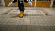 Goldeneagles Hotwyngz GIF by St. Joseph's University New York