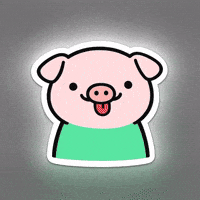 Pig What GIF
