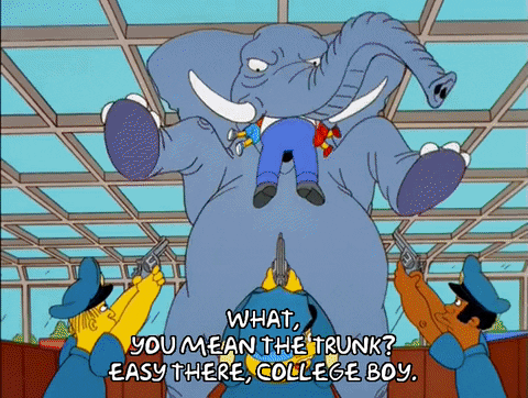 the simpsons GIF