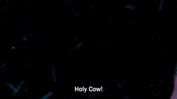 nut bust GIF
