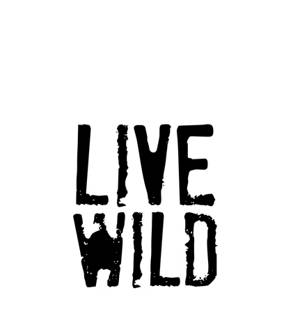 Live GIF by Soliści #dreamsintomemories