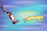 Mighty Morphin Power Rangers Running GIF by Power Rangers