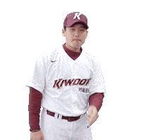 키움히어로즈 Sticker by Kiwoom Heroes Baseball Club
