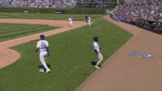 Chicago Cubs Sport GIF by TheDreamTeam 
