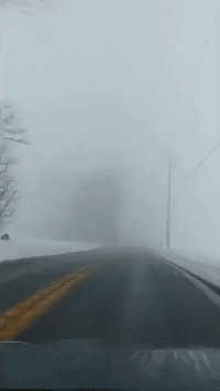 'Take It Slow': Dense Fog Causes Low Visibility on Pennsylvania Roads