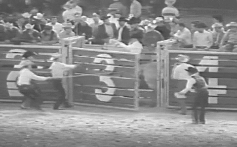 Vintage Fail GIF by Texas Archive of the Moving Image