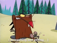 nickrewind nicksplat angry beavers GIF